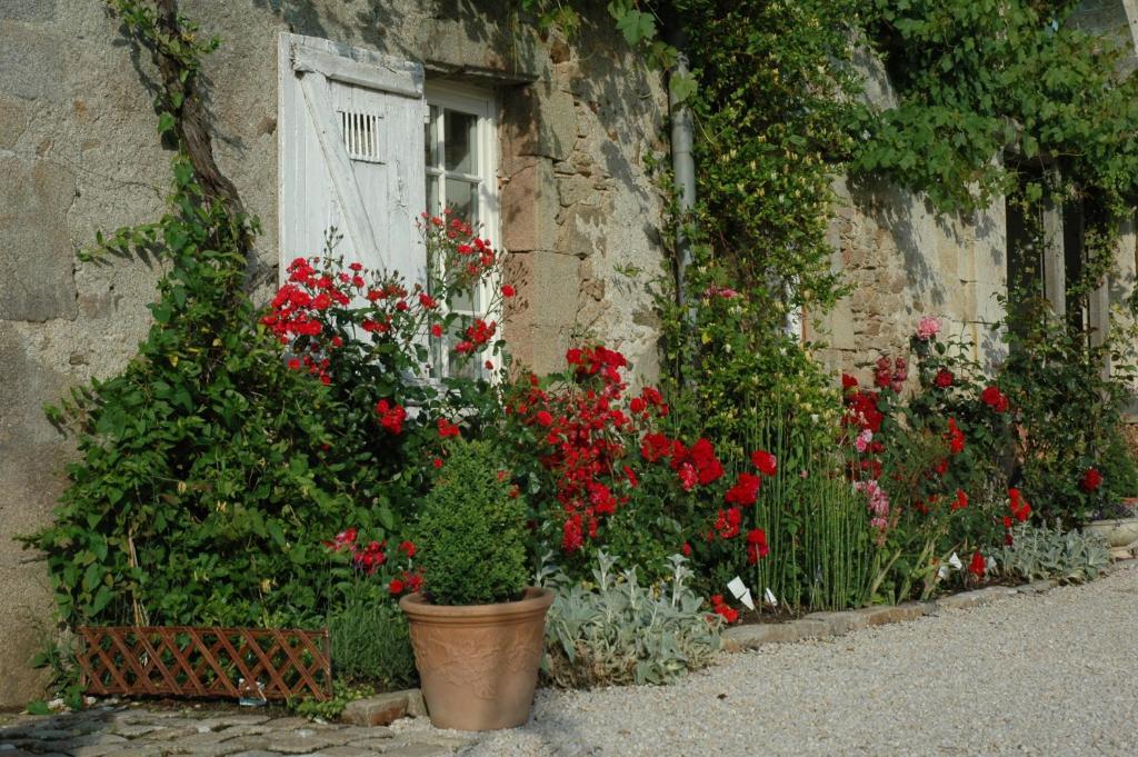 Bed and Breakfast Chateau De L'Oiseliniere Gorges  Exterior foto