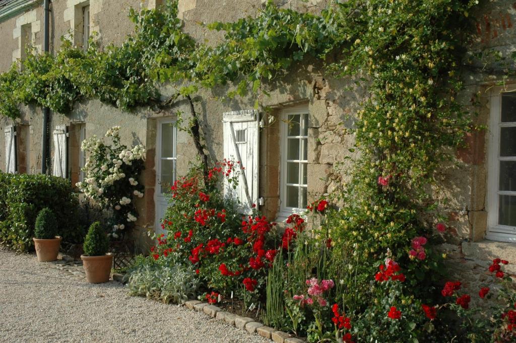 Bed and Breakfast Chateau De L'Oiseliniere Gorges  Exterior foto