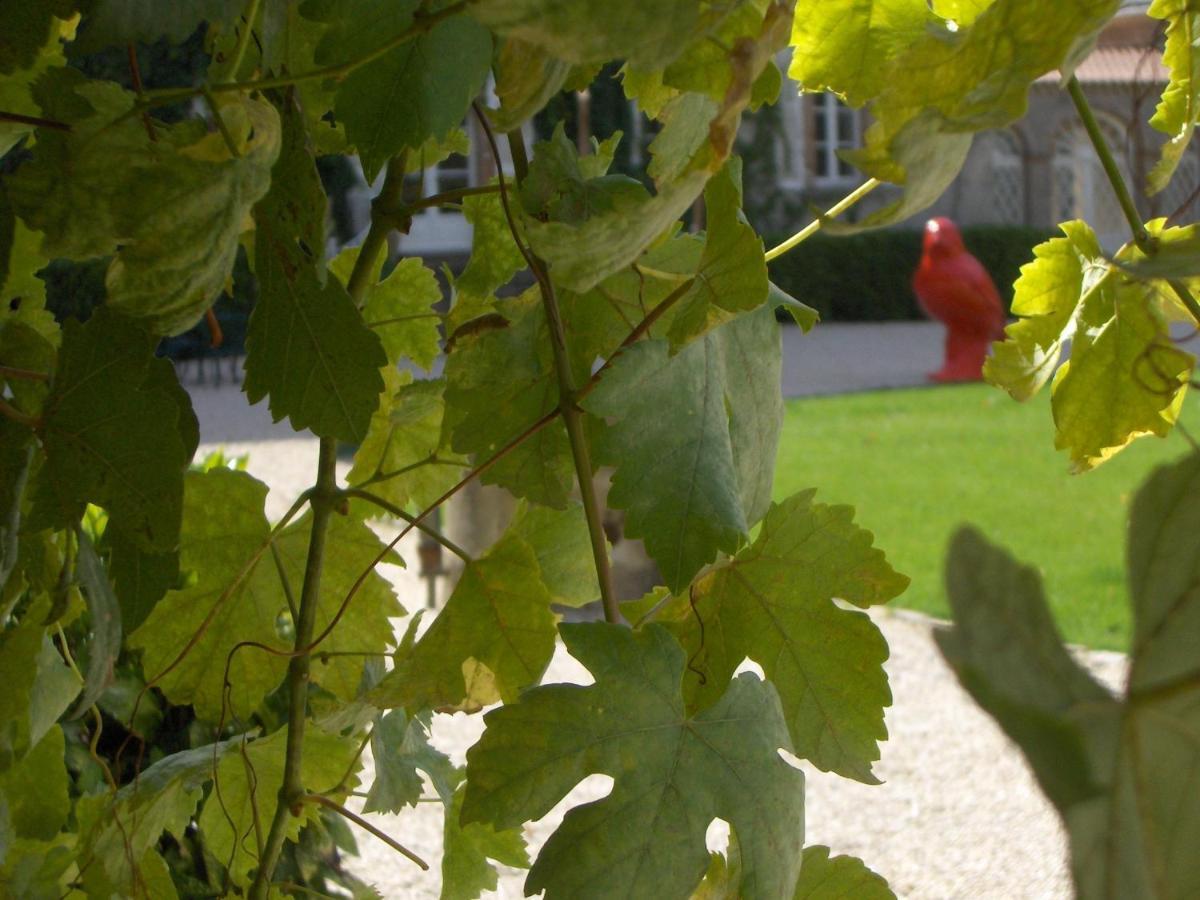 Bed and Breakfast Chateau De L'Oiseliniere Gorges  Exterior foto